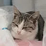 Ruxshod Nutfullayev