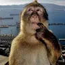 oldyyy 666