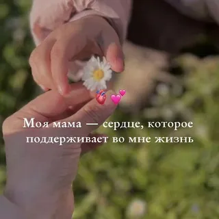 ℳ𝓊𝓍𝓁𝒾𝓈𝒶♡︎ℳ𝒶𝒻𝓉𝓊𝓃𝒶