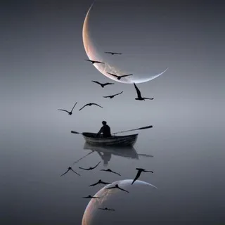 Moonlight