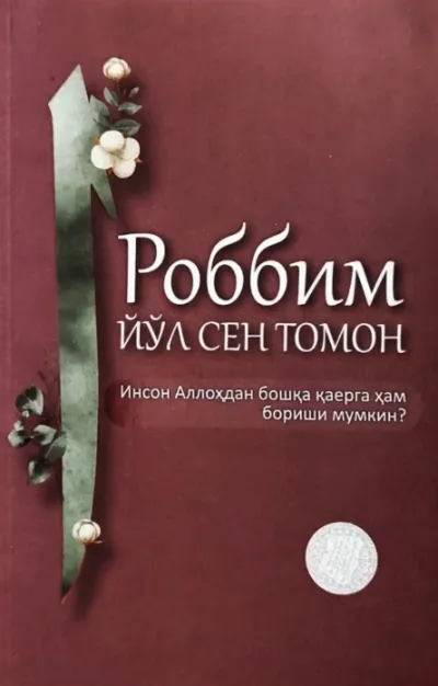 Robbim, yoʻl Sen tomon