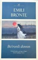 Bo'ronli Dovon